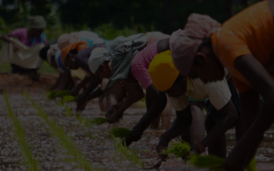 Caderneta Agroecológica: experiência de tecnologia social traz visibilidade para trabalhadoras rurais
