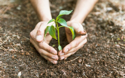 5º Seminário de Meio Ambiente 2024 – Segurança Alimentar, Sustentabilidade Hídrica e Mudanças Climáticas