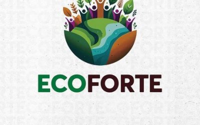 Governo federal lança edital ECOFORTE Redes 2024